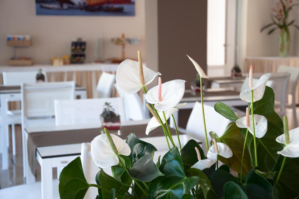 Hotel Park Spiaggia Grado Dış mekan fotoğraf